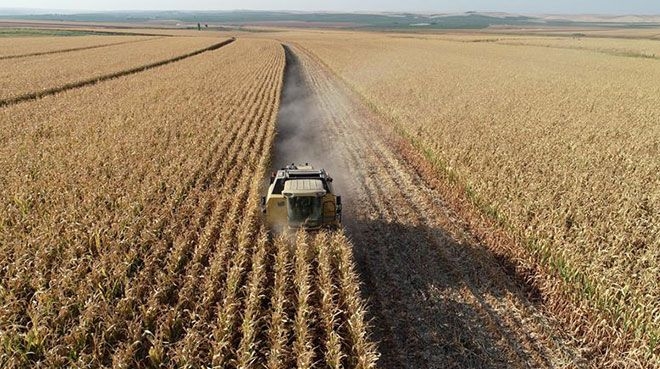 Tarımsal Girdi Fiyat Endeksi arttı