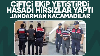 Tarla fareleri jandarmadan kaçamadılar