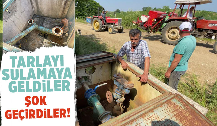  Tarla sulamaya gelen çiftçiye şok