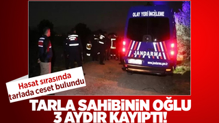 Hasat sırasında ceset bulundu