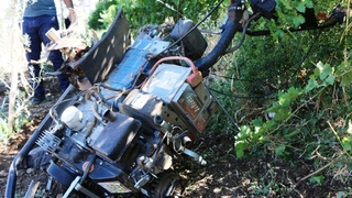 Tarlada feci şekilde can verdi