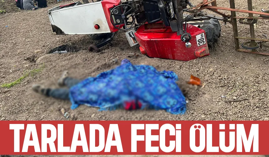 Tarlada korkunç ölüm