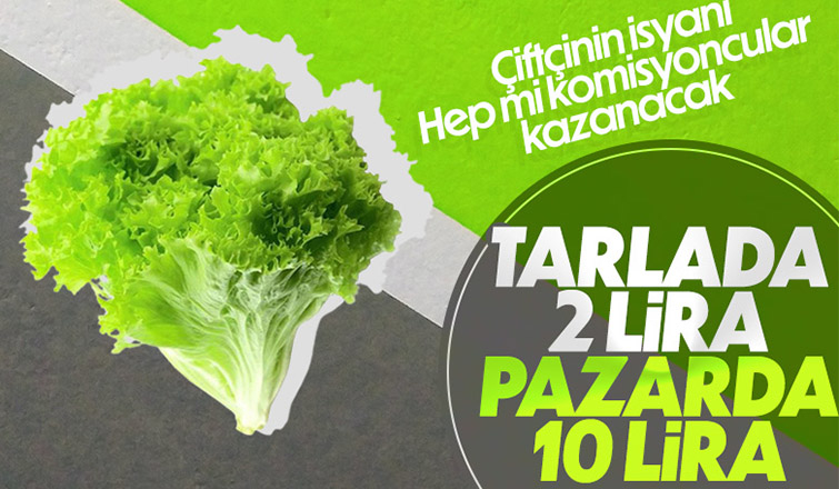 Tarladan 2 liraya çıkan marulun fiyatı rafta 5 katına çıkıyor