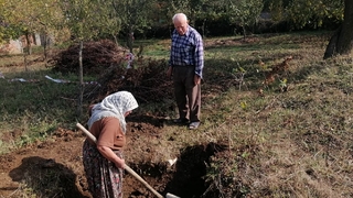 Tarlasını için su çukuru açarken misket bombası buldu