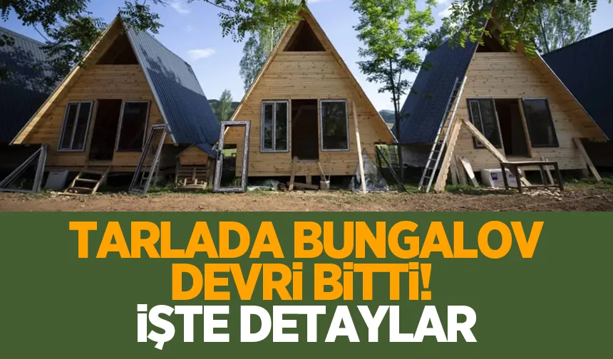 Tarlaya bungalov ve tiny house dönemi bitti