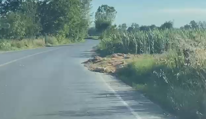 Tarlayı yola kadar sürüp çamur döken çiftçiler kazaya davetiye çıkarıyor