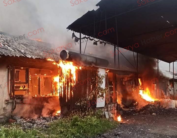 Tavuk çiftliği yandı: Binlerce civciv telef oldu