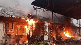 Tavuk çiftliği yandı: Binlerce civciv telef oldu