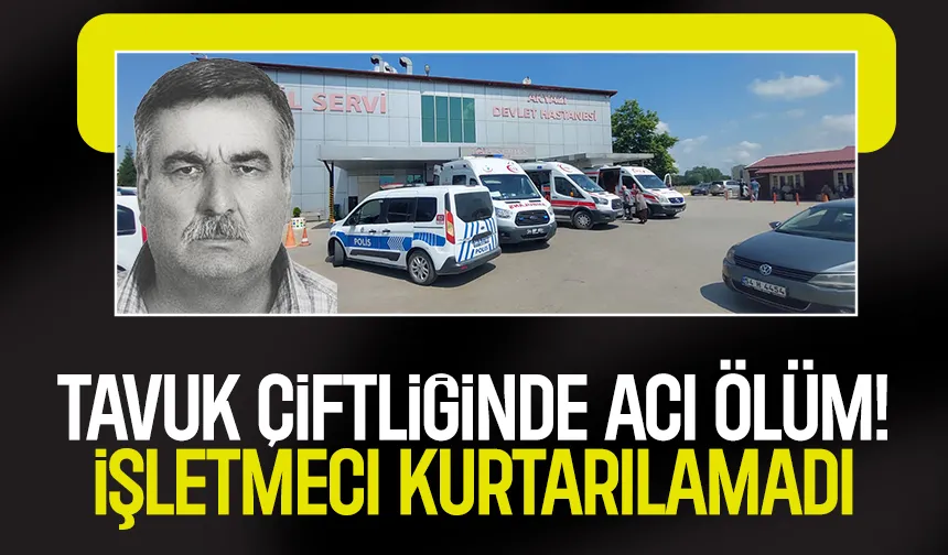 Tavuk çiftliğinde ölüm
