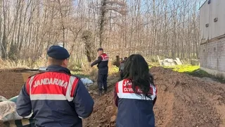 Tavuk çiftliğinde skandal görüntüler