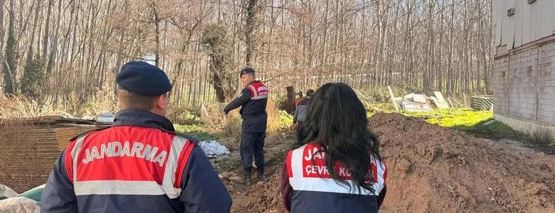 Tavuk çiftliğinde skandal görüntüler