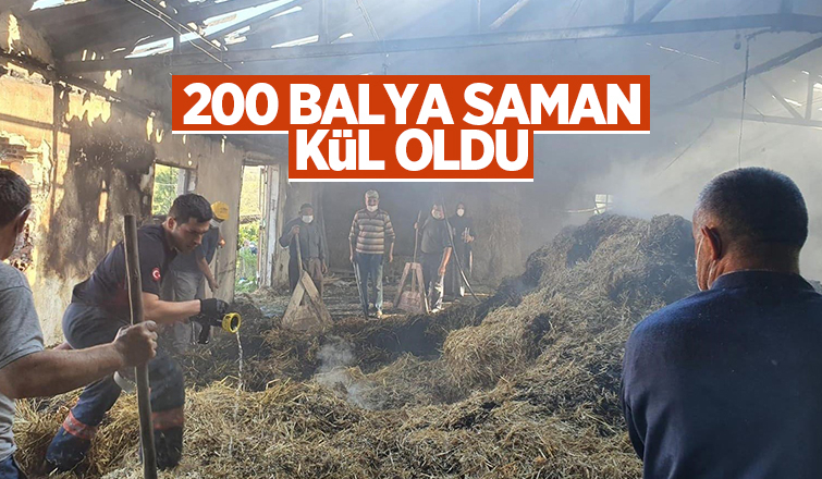 Tavuk çiftliğinde yangın; 200 balya samanı kül etti
