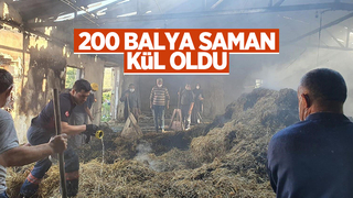 Tavuk çiftliğinde yangın; 200 balya samanı kül etti