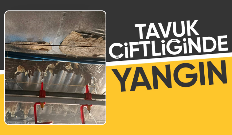 Tavuk çiftliğinde yangın çıktı