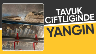Tavuk çiftliğinde yangın çıktı