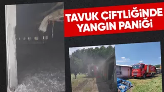 Tavuk çiftliğinde yangın