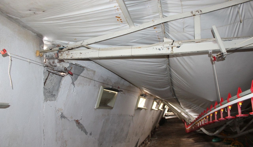 Tavuk çiftliğinin çatısı çöktü