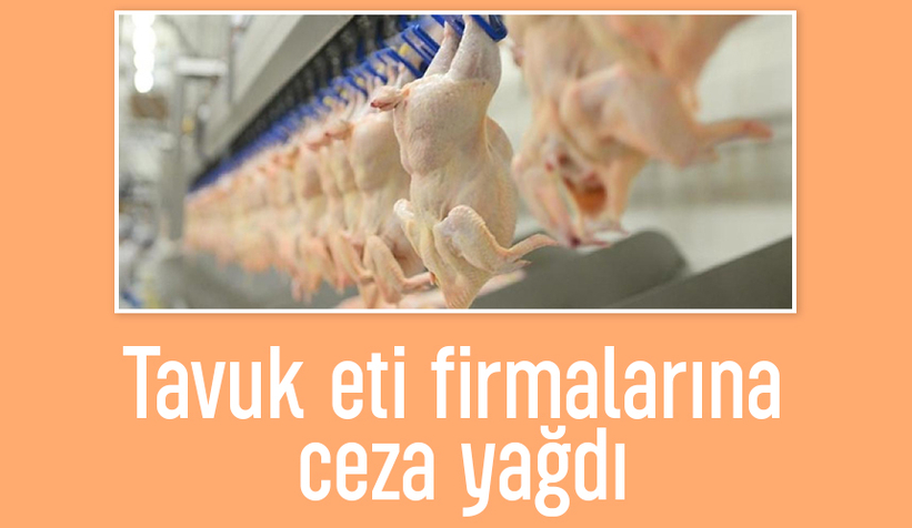 Tavuk eti firmalarına dev ceza