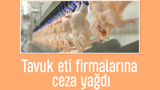 Tavuk eti firmalarına dev ceza