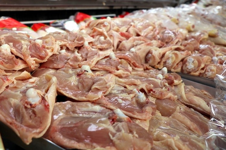 Tavuk satışları tepetaklak: Yüzde 70 düştü