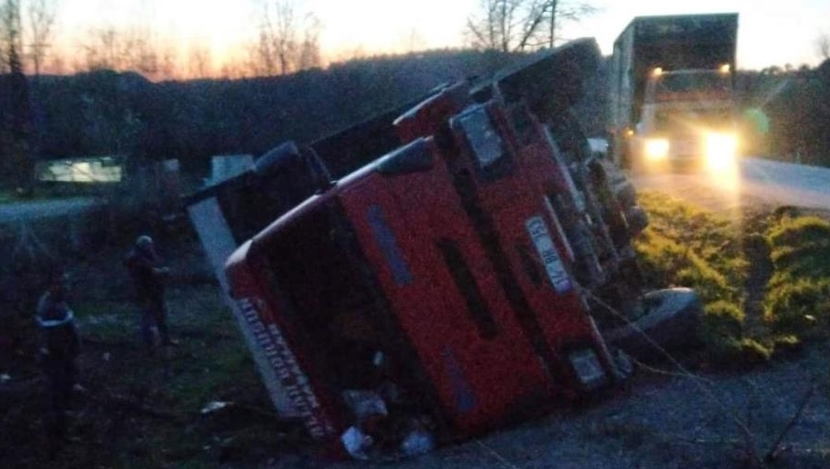 Tavuk yüklü kamyon devrildi: 1 yaralı