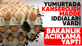 Tayvan'a ihraç edilen yumurtalara ilişkin iddialara inceleme