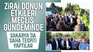 TBMM Zirai Don Araştırma Komisyonu Sakarya'da inceleme yaptı