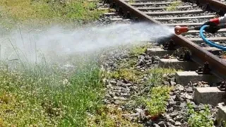 TCDD'den ilaçlama uyarısı