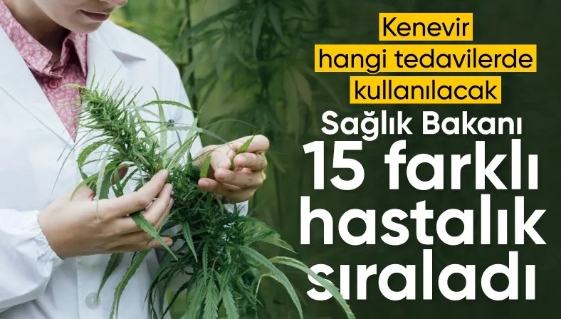 Tedavisinde tıbbi kenevir kullanılan 15 hastalık