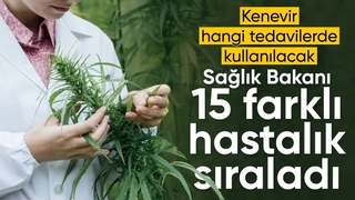 Tedavisinde tıbbi kenevir kullanılan 15 hastalık