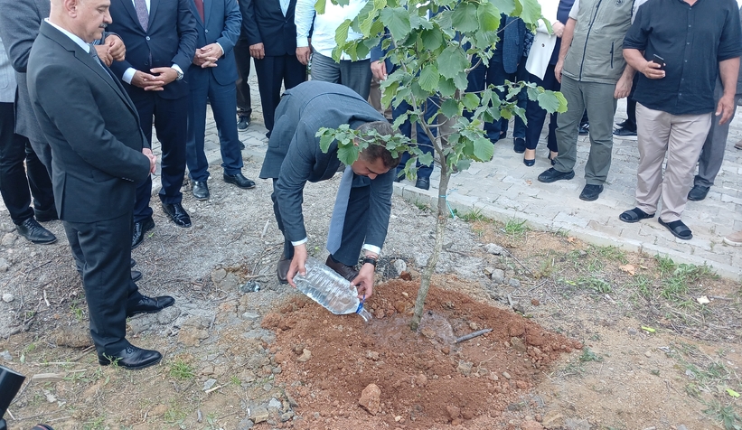 Tek ağaç fındık sistemi hayata geçecek