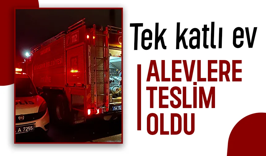 Tek katlı ev alevlere teslim oldu