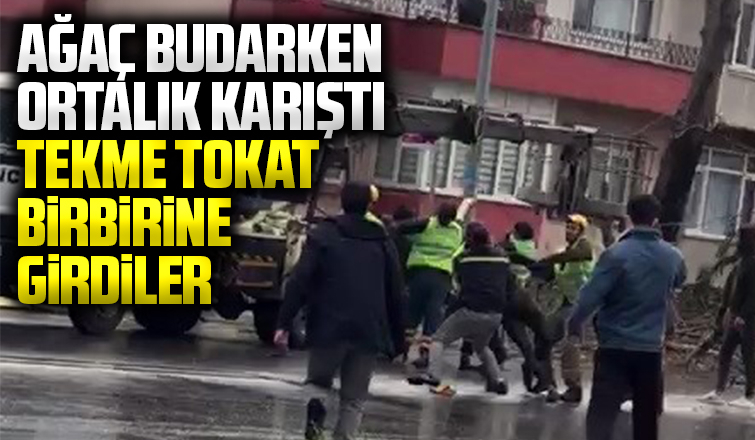 Tekme tokat birbirlerine girdiler