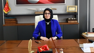 TEKNOFEST'te Sakarya başarısı