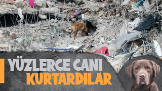 Teknolojinin tükendiği yerde devreye giren altın burunlar