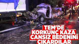 TEM'de arıza yapan tıra çarptı: 1 ölü
