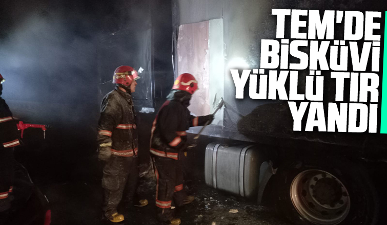 TEM'de bisküvi yüklü tır yandı