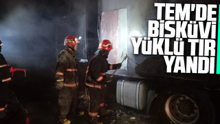 TEM'de bisküvi yüklü tır yandı