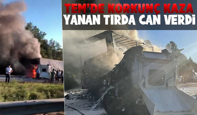 TEM'de feci kaza yanan tırda can verdi