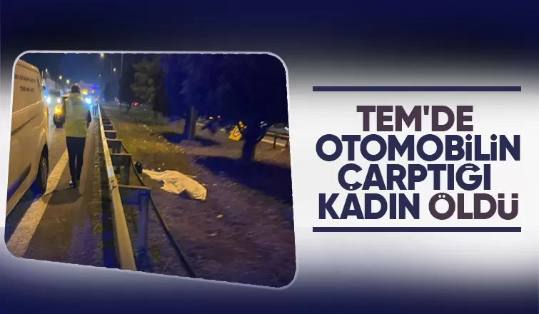 TEM de feci ölüm