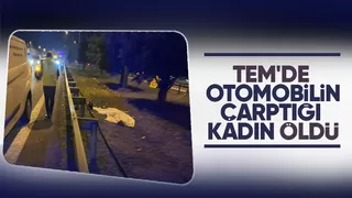 TEM de feci ölüm