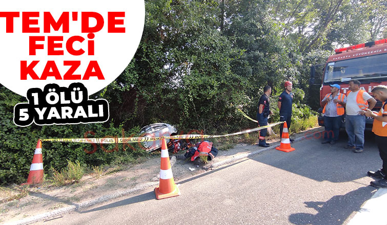 TEM'de kaza: 1 ölü, 5 yaralı