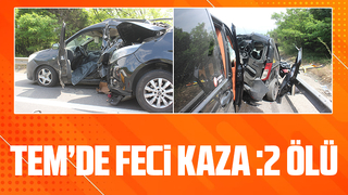 TEM'de kaza: 2 ölü 3 yaralı