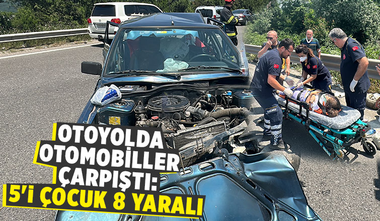 TEM'de kaza: 8 yaralı
