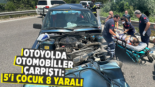 TEM'de kaza: 8 yaralı