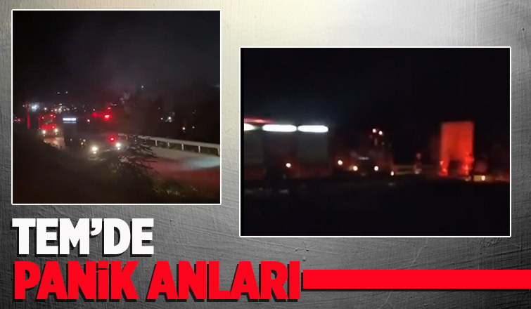 TEM'de lastik patladı, dorse alev aldı