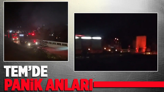 TEM'de lastik patladı, dorse alev aldı