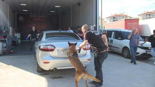 TEM'de polisi peşine takan otomobillerden 119 kilo uyuşturucu çıktı