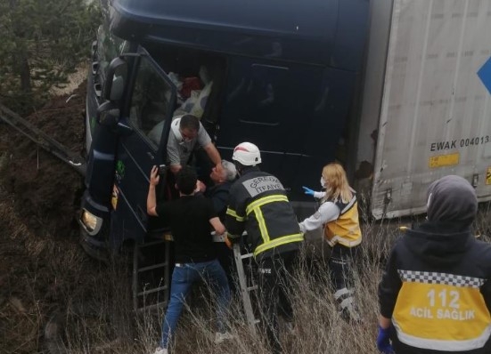 TEM'de tır ağaçlık alana uçtu: 1 yaralı