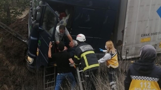 TEM'de tır ağaçlık alana uçtu: 1 yaralı